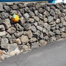 사랑길펜션 이미지