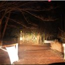 매음농장 이미지