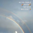 행운의 쌍무지개가~🌈🌈 이미지