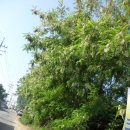 종점자동차공업사 이미지