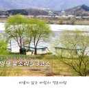버드나무나루께길(물소리길 4코스) Daum카페