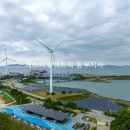 반월태양광발전소 이미지