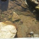 암스트롱요양병원 이미지