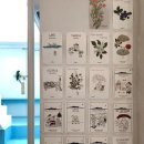 딥블루레이크 이미지