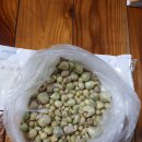 초막농장 이미지