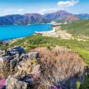 품다 하나 이미지