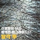 11215-구의2-644 | 건대두피문신 자연스러운 스타일과 가격까지 한눈에 알아보기