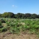 신일상사 이미지