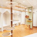 동행동물의료센터 이미지