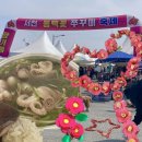 (주)더더더 | 서천 동백꽃 쭈꾸미축제 내돈내산 후기 마량리동백나무숲 당일치기 가볼 만한 곳 추천