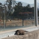 서울장수초등학교 이미지