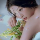 본심코리아 이미지