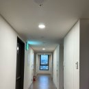 어반스테이 명동 이미지