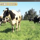 자연생한약국 | 채소과일식 - 일주일 한 후기 (진짠가? 진짠 거 같은데…)