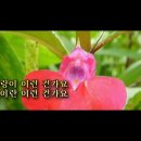 봉숭아꽃물 최향 노래,,,,,[4K UHD 고음질] 이미지