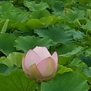 [ 13일 ]톡톡수다방 끝말잇기~~^ 이미지