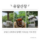 힐링산장 | 목포 유달산장 카페 후기 유달산 초록뷰 힐링카페 추천