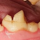 크라운 동물병원 이미지