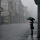 Creedence Clearwater Revival / Who'll Stop The Rain(누가 이 비를 멈추게 할 것인지) 이미지