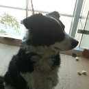 반포4동주민센터 이미지