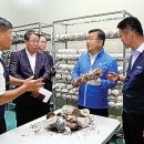 미르영농조합법인 이미지