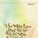 평온 Daum카페