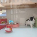 화봉지하차도 이미지