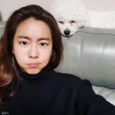 내새끼 펫 이미지