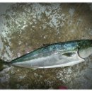 서인경방 번개모임안내 - 대치동 고무신 이미지