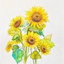 수채화 일러스트 이미지