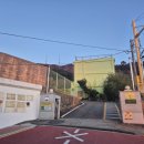 신선초등학교 이미지