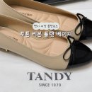탠디 TANDY 베카치노 소가죽 여성 플랫슈즈 천안 신세계백화점 내돈내산 솔직후기