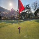 동문그린 | 곤지암 중부cc ⛳라운드 후기, 동문들과 급벙개로 다녀온 🏌🏻‍♀️중부cc 그린,페어웨이,가격 찐 후기