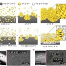 에스제이미디어 이미지
