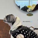 널독(NERDOG) 이미지