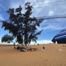 샘물약국 | 3월의 나짱, Nha Trang!! (with 예지언니)