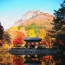 백양사 쌍계루 이미지