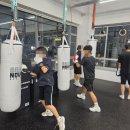 크로스복싱 이미지