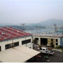 대광 태양광 발전소 이미지