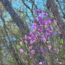 용진정사 | 광산의 숨은 힐링 명소 🌸