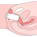 (주)월드메딕스 이미지