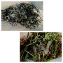 수란목장 이미지