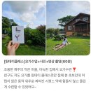 은형 | 제주도원데이클래스 추천 🌿 제주요가베르데 후기로 보는 특별한 경험