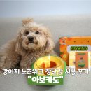 도그도마 | 분리불안에 도움이 되는 강아지 노즈워크 아보카도 장난감 사용 후기
