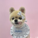 뽀삐샵(BBOBBI SHOP) 네이버블로그