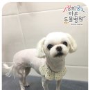 경희궁바른동물병원 이미지