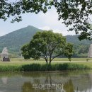 미륵사지 이미지