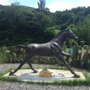 마비정농장 이미지