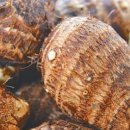 죽곡농장 이미지