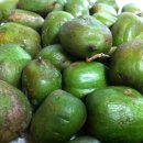 사상참경희한의원 이미지